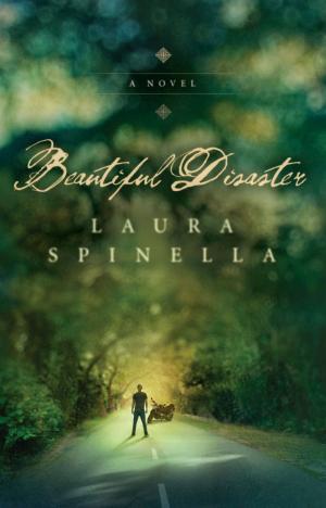Cover of the book Beautiful Disaster by Diane Johnson