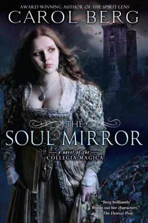 Cover of the book The Soul Mirror by 
