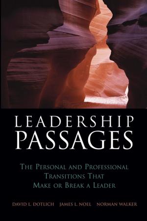 Cover of the book Leadership Passages by Professor Gregoire Mariethoz, Jef Caers