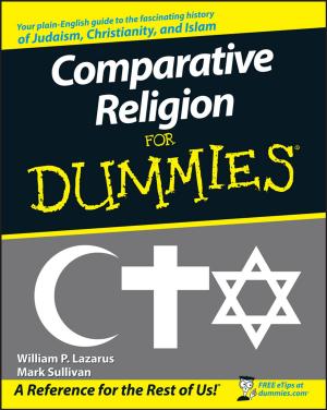Cover of the book Comparative Religion For Dummies by Emanuel Derman