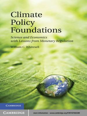 Cover of the book Climate Policy Foundations by Mark Thornton Burnett