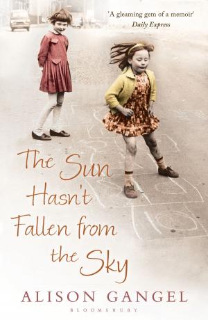 Cover of the book The Sun Hasn't Fallen From the Sky by Professor Rebecca Mitchell