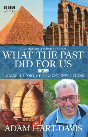 Cover of the book What the past did for us by Gareth Roberts