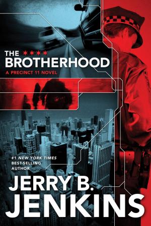 Cover of the book The Brotherhood by Pam Hillman