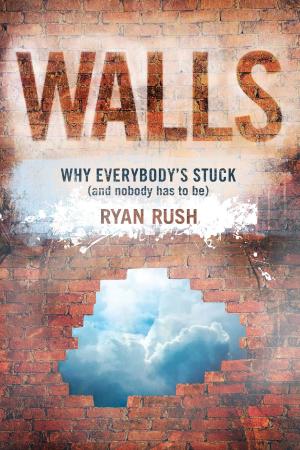 Cover of the book Walls by Joel C. Rosenberg