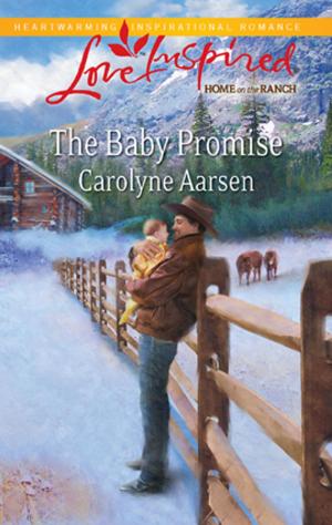 Cover of the book The Baby Promise by Victoria Bylin