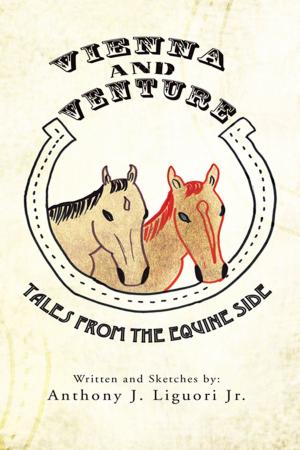 Cover of the book Vienna and Venture by J.S. DELANEY
