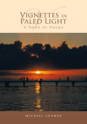 Cover of the book Vignettes in Paled Light by Lee Pulaski