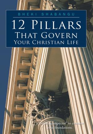 Cover of the book 12 Pillars That Govern Your Christian Life by Barbara Yates Rothwell