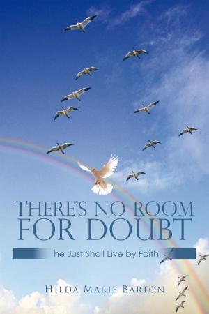 Cover of the book There’S No Room for Doubt by Dr. L.H. Kelley