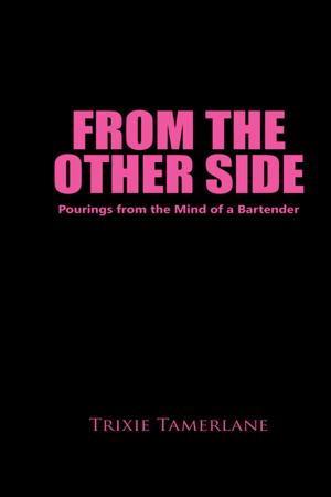 Cover of the book From the Other Side by C. F. McGillivray