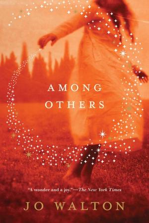 Cover of the book Among Others by Kristen Simmons