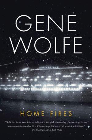 Cover of the book Home Fires by Glen Cook