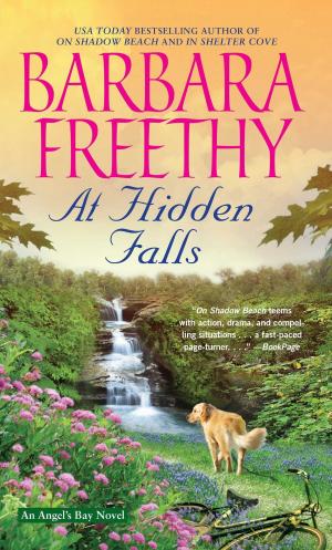 Cover of the book At Hidden Falls by Jackie Ashenden