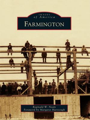 Cover of the book Farmington by Rachel Weston