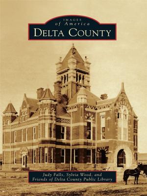 Cover of the book Delta County by Amy (Lant) Wenger