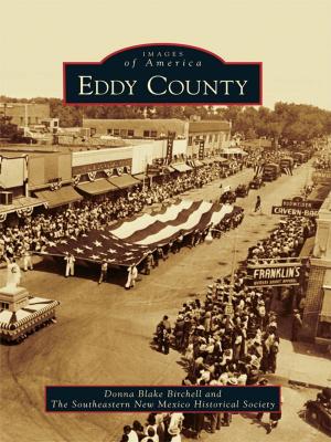bigCover of the book Eddy County by 
