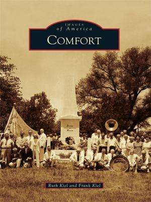 Cover of the book Comfort by Jan Batiste Adkins