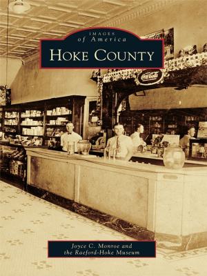 Cover of the book Hoke County by Jacqueline Greff