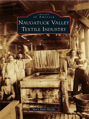 Cover of the book Naugatuck Valley Textile Industry by Bruce Megowan, Maureen Megowan