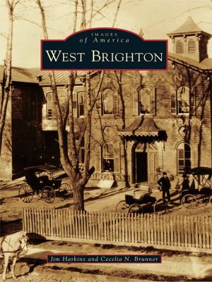 Cover of the book West Brighton by Elena Irish Zimmerman
