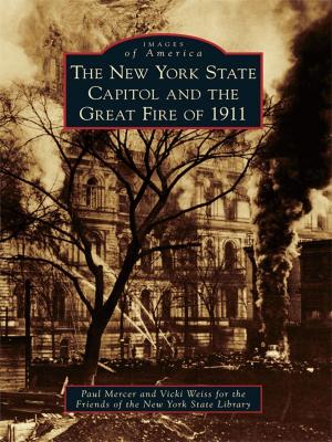 Cover of the book The New York State Capitol and the Great Fire of 1911 by John Garvey
