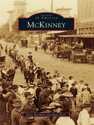 Cover of the book McKinney by Jeanne M. McDaniel
