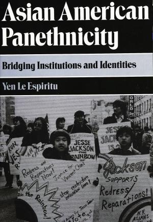 Cover of the book Asian American Panethnicity by Ralph W Larkin