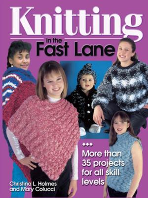 Book cover of Knitting in the Fast Lane