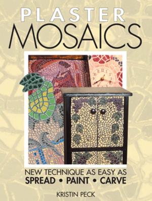 Cover of the book Plaster Mosaics by Ed Maciorowski, Jeff Maciorowski