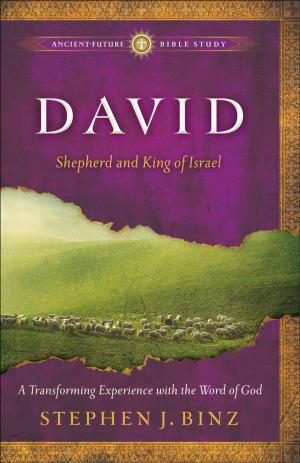 Cover of the book David (Ancient-Future Bible Study: Experience Scripture through Lectio Divina) by Mark Holmen