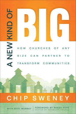 Cover of the book A New Kind of Big by Bruce W. Martin