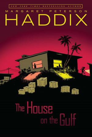 Cover of the book The House on the Gulf by Alexandra Sirowy