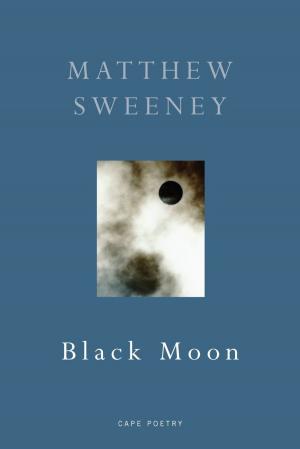 Cover of the book Black Moon by Ellie Dean