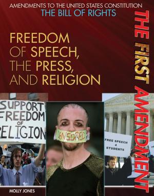 Cover of the book The First Amendment by Philip Wolny