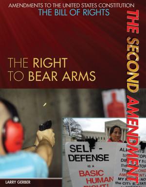 Cover of the book The Second Amendment by Anne Rooney