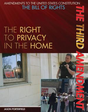 Cover of the book The Third Amendment by Heather Moore Niver