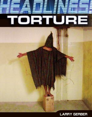 Cover of the book Torture by Janey Levy