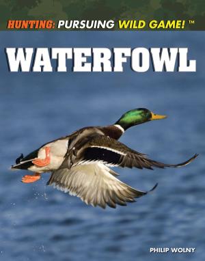 Cover of the book Waterfowl by Patricia Harris
