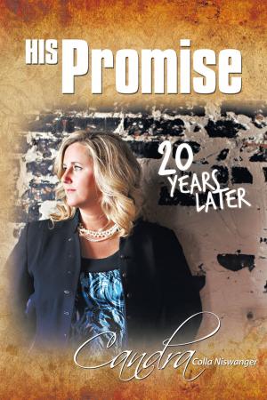 Cover of the book His Promise . . . 20 Years Later by Pamela Johnson