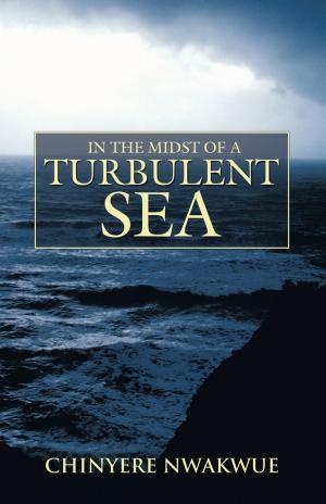 Cover of the book In the Midst of a Turbulent Sea by Betty Lowrey