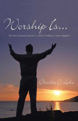 bigCover of the book Worship Is... by 