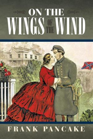 Cover of the book On the Wings of the Wind by Marie-Catherine d'Aulnoy
