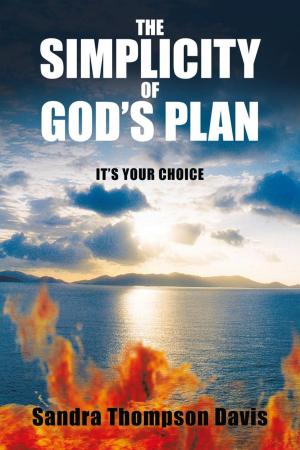 Book cover of The Simplicity of God's Plan