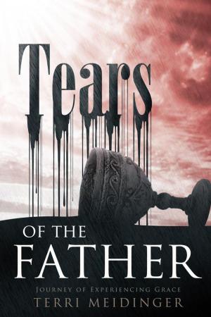 Cover of the book Tears of the Father by Matt W. Leach