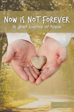 Cover of the book Now Is Not Forever by Brenda Redner, Rick Redner