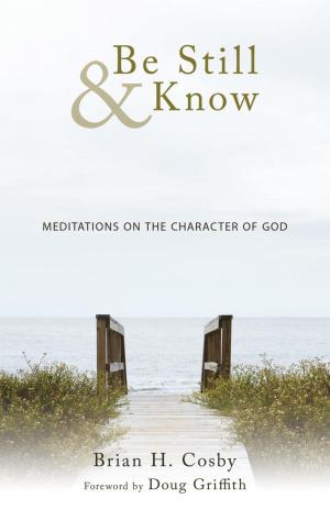 Cover of the book Be Still & Know by David A. Kroll