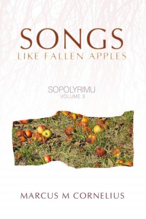 Cover of the book Sopolyrimu Volume 3 by Elena Murzello
