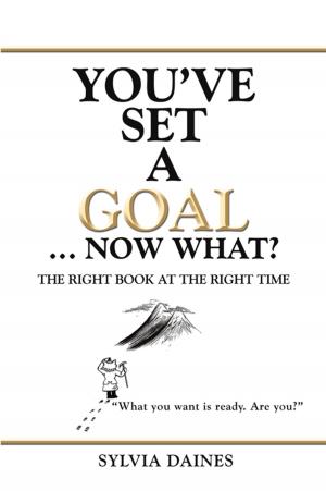 Cover of the book You’Ve Set a Goal … Now What? by Janice Starghill Keel