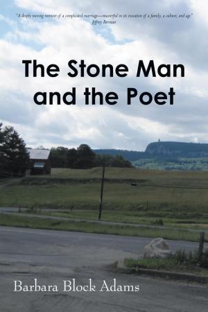 Book cover of The Stone Man and the Poet